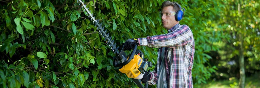 4 Best Gas Hedge Trimmers – Reviews and Buying Guide