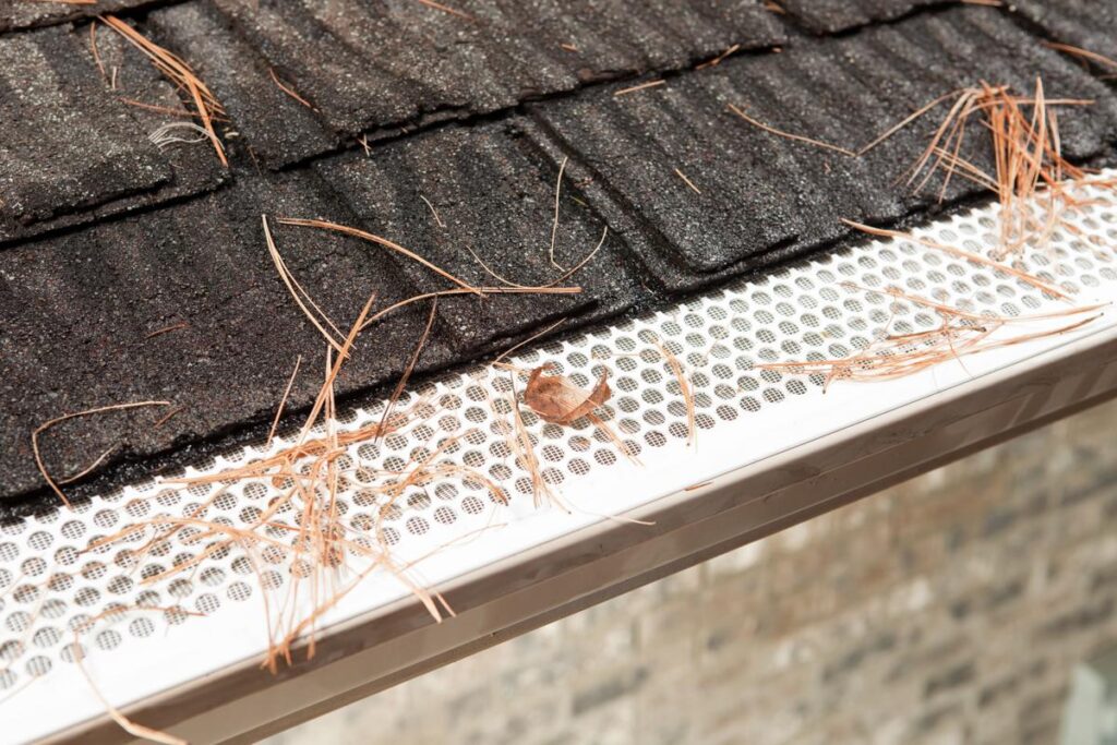 5 Best Gutter Guards for Pine Needles - New Solution for an Old Problem