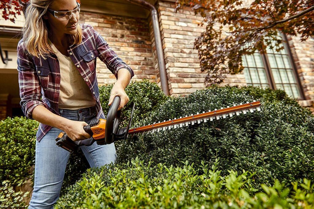 6 Best Electric Hedge Trimmers the Market Has to Offer