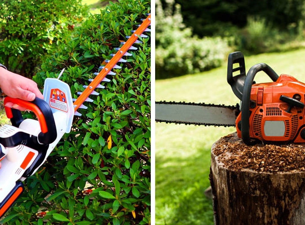 Hedge Trimmer vs. Chainsaw: What and How to Choose?