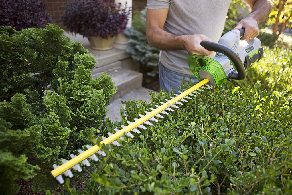 10 Best Lightweight Hedge Trimmers – Effortless Operation and Improved Control!