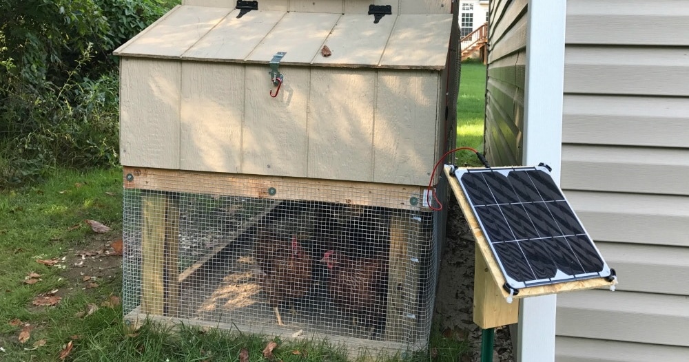 7 Best Solar Chicken Coop Lights - Keep Your Birds Safe and Warm!